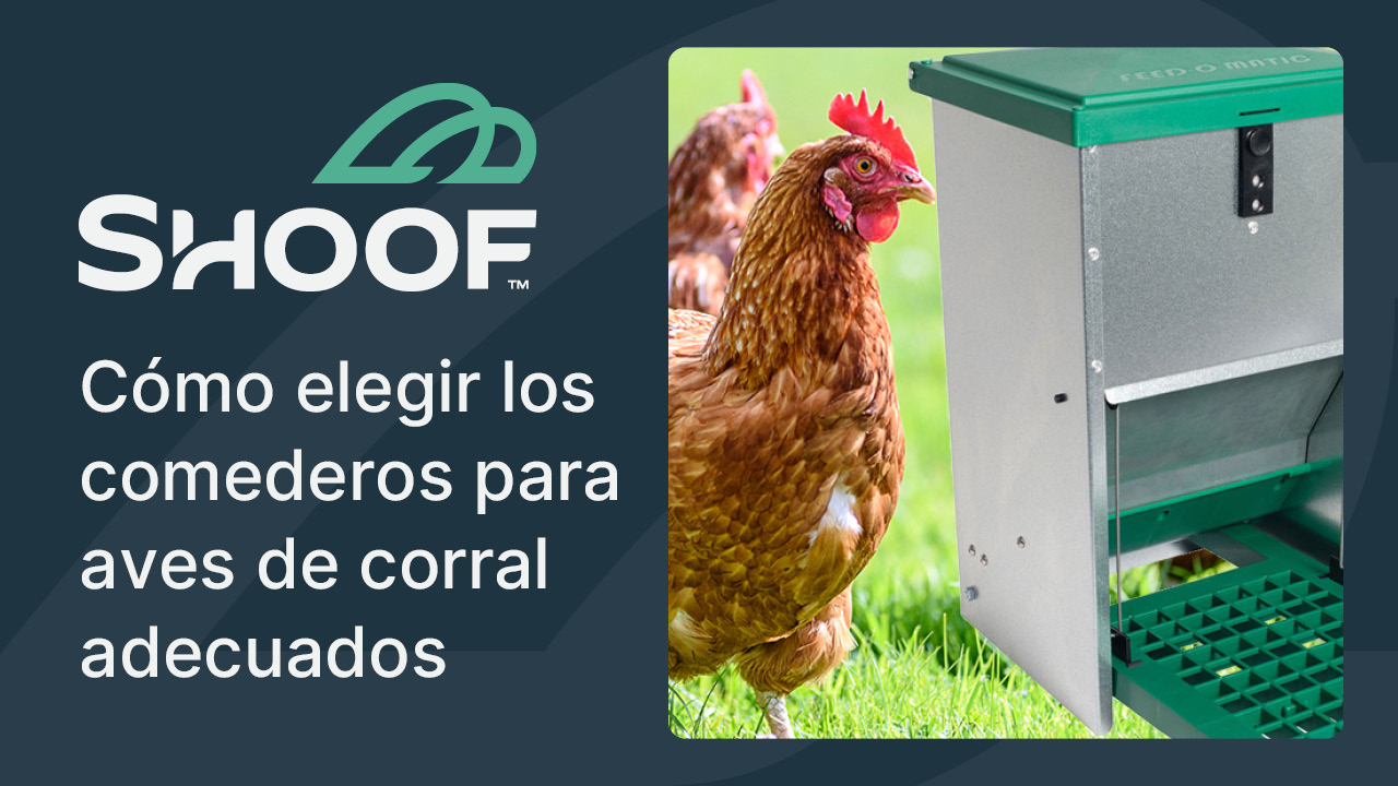 Poultry Feeders